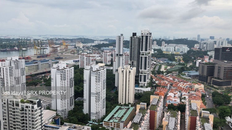 Blk 1C The Pinnacle@Duxton (Bukit Merah), HDB 5 Rooms #204212131